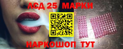 СК Бердск