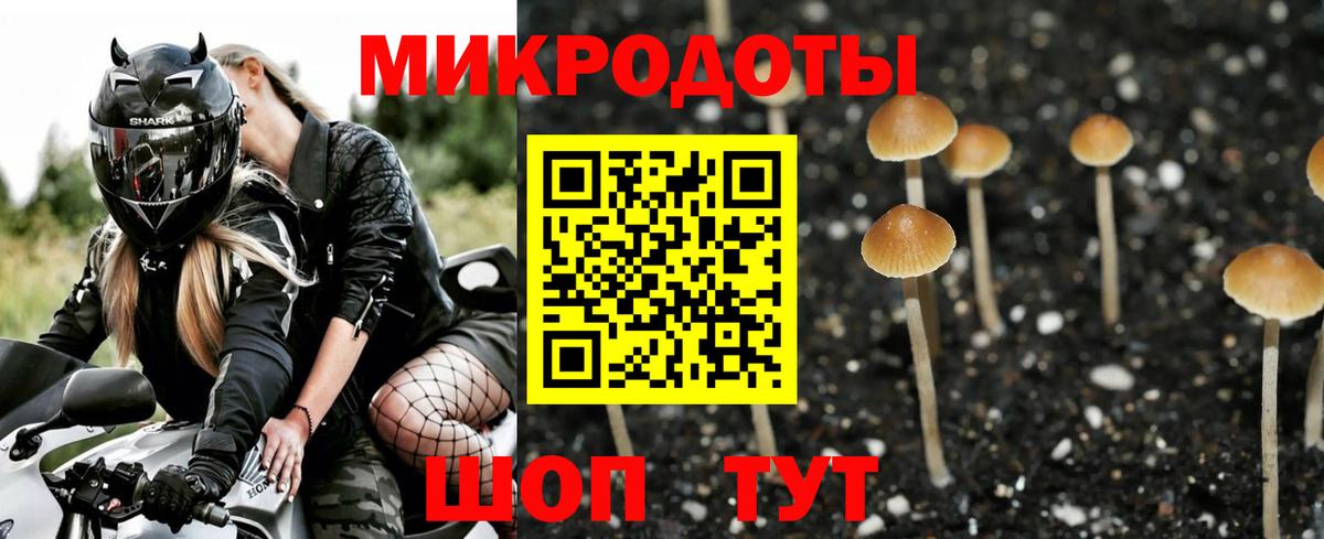 Псилоцибиновые грибы прущие грибы  Вход с VPN  Галлюциногенные грибы Magic Shrooms  Клинцы 