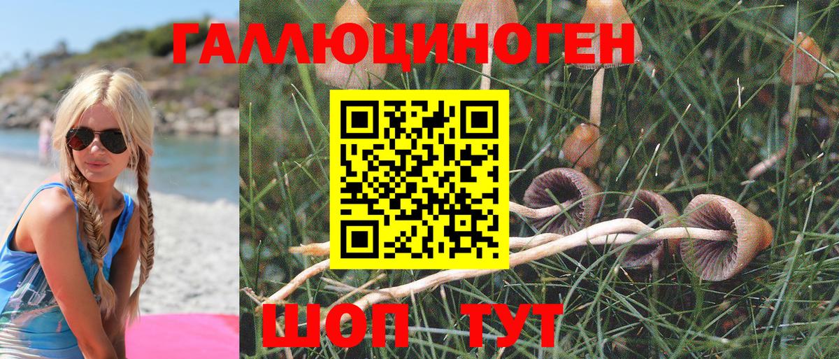 Псилоцибиновые грибы GOLDEN TEACHER Клинцы